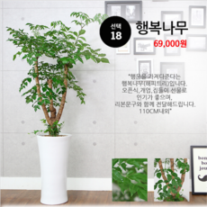 50360a4d-b595-4a2b-ad99-06836df77e66.png
