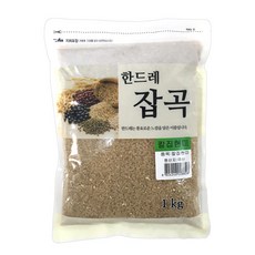 칼집현미