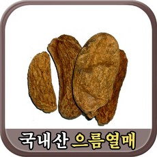 찔레열매
