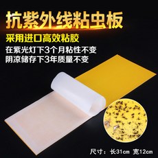 끈끈이 끈적 IED 전용 스티커 스타일의 행렬 구더기 보드를 잡기 플라이 용지 10 종이 스티커 모기가 좋은 (으)로 운항하는 항공사