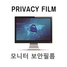 모니터 정보보안필름 Privacy Filter 22인치wide, 1개