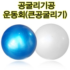 비지엔젤공굴리기