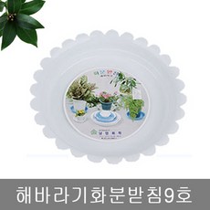 eded3c00-716d-4408-80dd-beee2ea19608.jpg