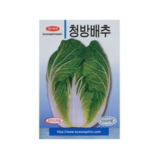 청방배추