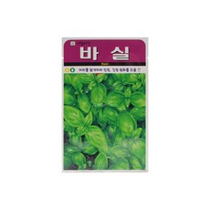 씨바스리갈