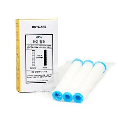 뉴월드호이아나호텔