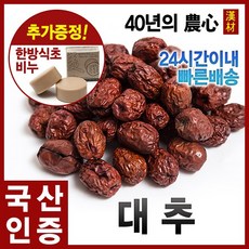 사과대추 TOP01