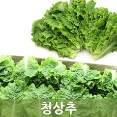 상추한박스