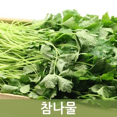 두리반농산 참나물 4kg, 1개