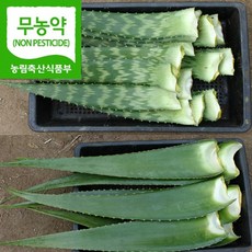 //상품명