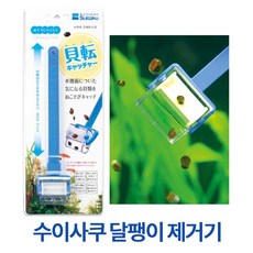 어항물달팽이
