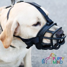 바스커빌입마개