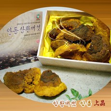 상황버섯 (상품), 1개, 300g