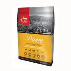 오리젠 퍼피 독 1kg, 1개