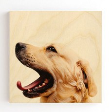 반려견양모펠트액자