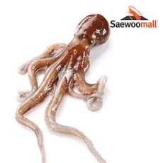 새우몰 냉동 활낙지 850g 8미, 850g(7~9미), 1개