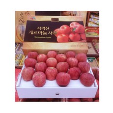 산지애사과하나