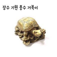 옥탑방거북이
