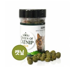 캣잎환