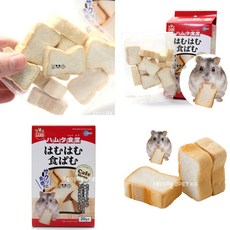 햄스터아마줄기