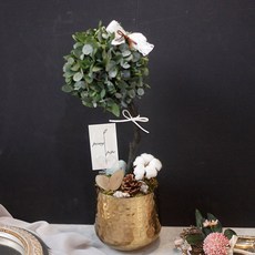 [피오니페페] 인테리어 소품으로 좋은 토피어리디자인, 크래프트