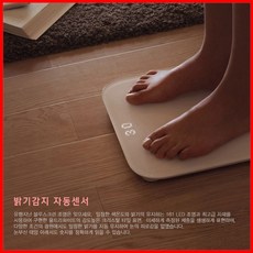 샤오미 CRO 미스케일 디지털 체중계 XMTZC01HM