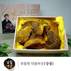 류충현약용버섯 약용 상황버섯 상품 뽕나무 상왕버섯 목질진흙버섯 차 고급 귀빈 선물 무농약 300g, 1박스