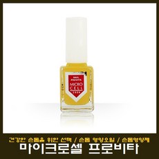 마이크로셀2000