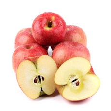햇살농원 껍질째 먹는 충주 고당도 사과(부사), 1박스, 흠과5kg(굵기선별없음)
