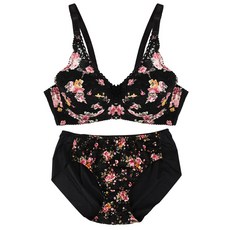 피오렌자또베네치아