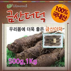 금산인삼 국내산 더덕 구이용 효소담금용더덕, 1팩, 금산더덕(대)1kg