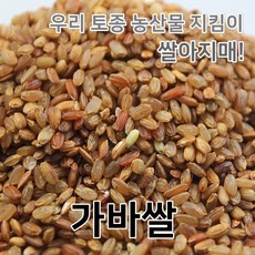 2023년 국산 햇 가바쌀 가바현미, 1개, 1kg