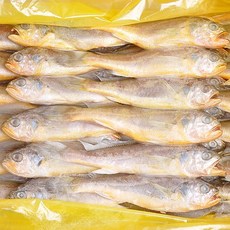 푸드마을 냉동 참조기 2.4kg~2.5kg 내외 조기 생선구이, 1개, 2.4, 참조기 2.4kg 내외