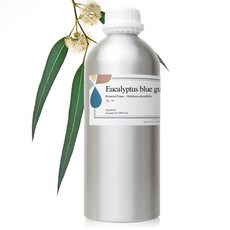  아로마랩 대용량 유칼립투스 블루검 아로마 에센셜오일, 1kg, 1개 
