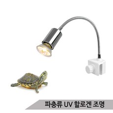 0830c5c7-cc30-47af-85fe-0c15011900c6.jpg