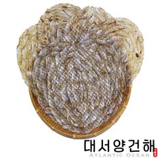 //상품명
