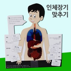 인체장기 맞추기(5인)/TOY
