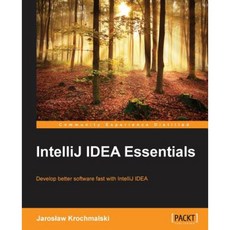 intellij책