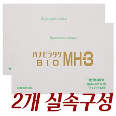 HNG 꽃송이버섯 바이오 MH3 320mg 60정 x 2팩 실속구성, 1개