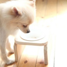 미르네 강아지심플1구식기, 1구심플민트, 1개