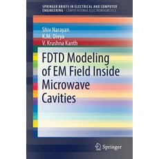 Fdtd Modeling of Em Field Inside Microwave Cavities Paperback, Springer