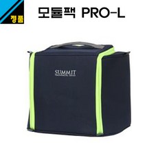 써티포ms백