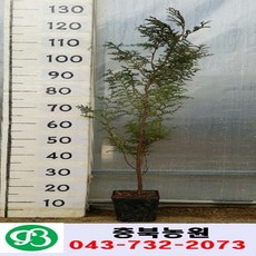 b62372cc-455d-465b-ae5e-7815963689cf.jpg