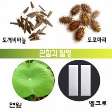 꽃그리기교과서