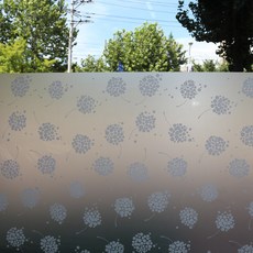  현대시트 윈도우시트 시트지, 혼합색상 