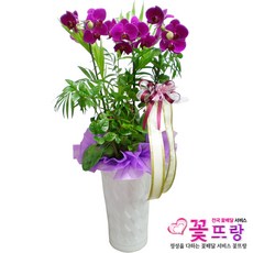 호접도