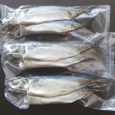 자갈치닷컴