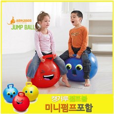 성인점핑볼