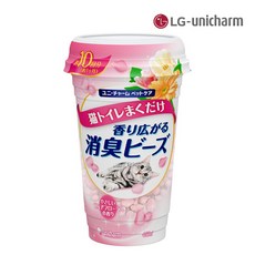 데오토일렛와이드