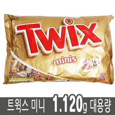 트윅스미니